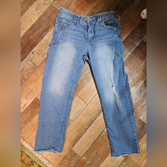 Democracy - Picture 2 of 6